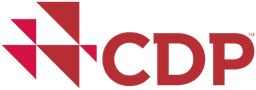 CDP Supply Chain